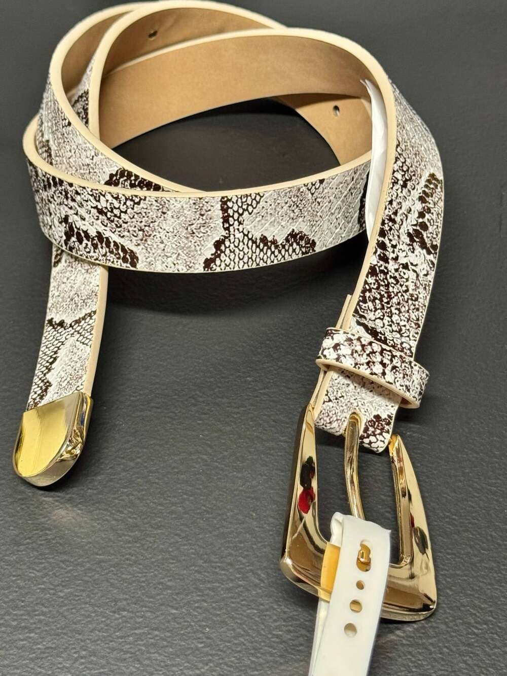 WB56 Size Large A New Day Snakeskin Print Belt Gold Buckle NWT